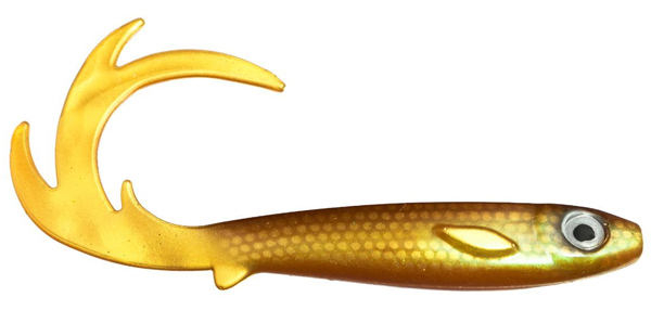 Flatnose Dragon 26 cm / 50 gram Golddigger
