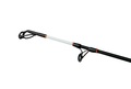 Shimano Beastmaster Catfish Meervalhengel Vertical 1.85m (200g)