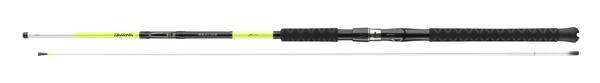 Daiwa Sealine X'treme Interline Boothengel 2023 2.25m (100-250g)