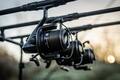 Daiwa Black Widow 25A Big Pit Molen