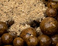 Dreambaits Vitella Boilies (3kg)