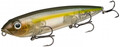 Strike King KVD Sexy Dawg - Sexy Ghost Minnow