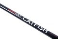 Catchmax Catfish Meervalhengel 3.00m (-200g)