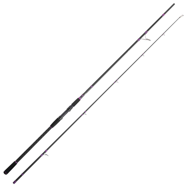 Cinnetic Sky Line Shore Rig 300MH Zeevishengel 3.00m (30-90g)