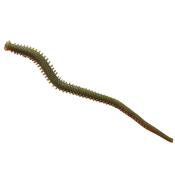 Berkley Gulp! Alive Saltwater Sandworm Camo 15cm (28 stuks)