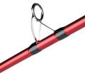 PENN Tidal Surfcasting Strandhengel 4,5m (100-300g)