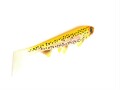 Hostagevalley Shad 14cm (25g)