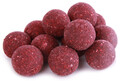 5kg Readymade Q-Boilies in 15 of 20mm - Garlic Robinred