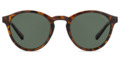 Polaroid PLD 1013/S Havana Frame/Green Glasses