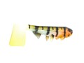 Hostagevalley Shad 22cm (90g)