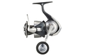 Daiwa 24 Certate SW Zeevis Spinmolen