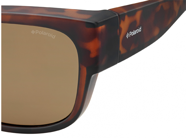 Polaroid PLD 9003/S Suncover Overzet Zonnebril - Havana frame / brown glasses
