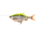 Savage Gear 4D Line Thru Roach Sinking 32cm (445g) - Lemon Roach