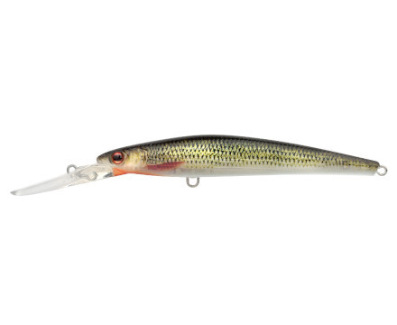 Spro Ikiru Jerk Roach 12cm (21g)