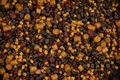 Mainline Spod & PVA Pellet Mix (2kg)