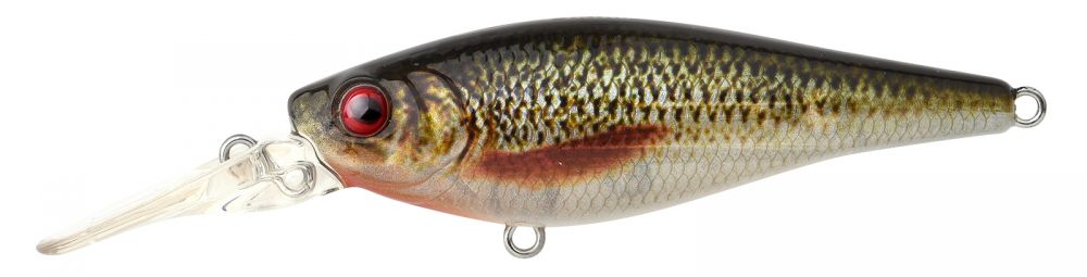 Spro Ikiru Shad LL Suspending Roach 7cm (11g)