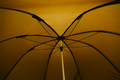 Fox Brolly 60'' (240cm)