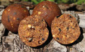 Dynamite Baits CompleX-T Boilies 1kg