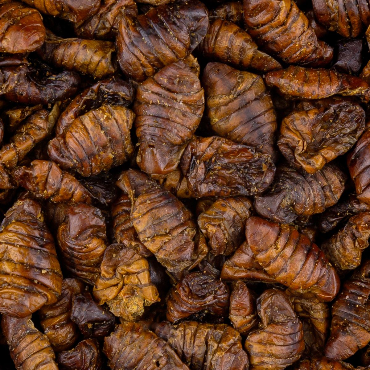 Vivani Baits Dried Silkworms (750g)