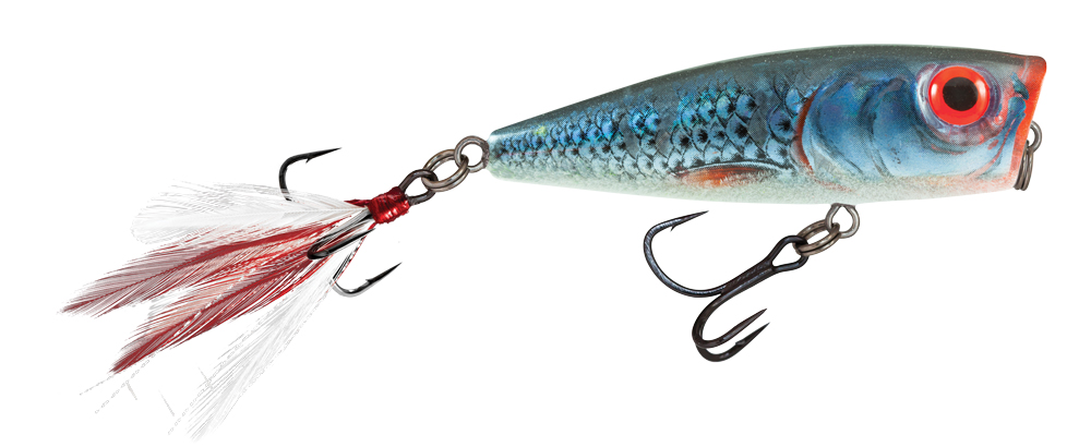 Salmo Fury Popper 7cm - Blue Shad