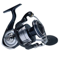 DAIWA 21 Certate SW Zeevis Molen