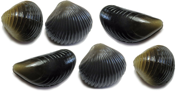 Behr Trendex Mini Carp Shells (6stuks)