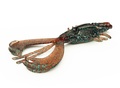 Nays Craw Creaturebait 2.5'' 6.4cm (2.2g) (8 Stuks) - C-02