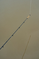 Korum Phase 1 Float Rod Matchhengel