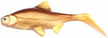 Ola Lures Hooligan Roach Jr 15cm - Gold Digger