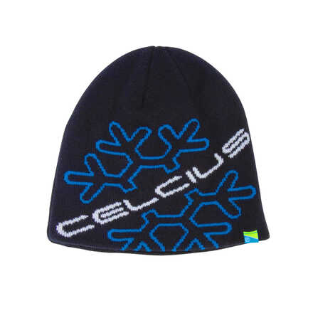 Preston Celcius Beanie Vismuts