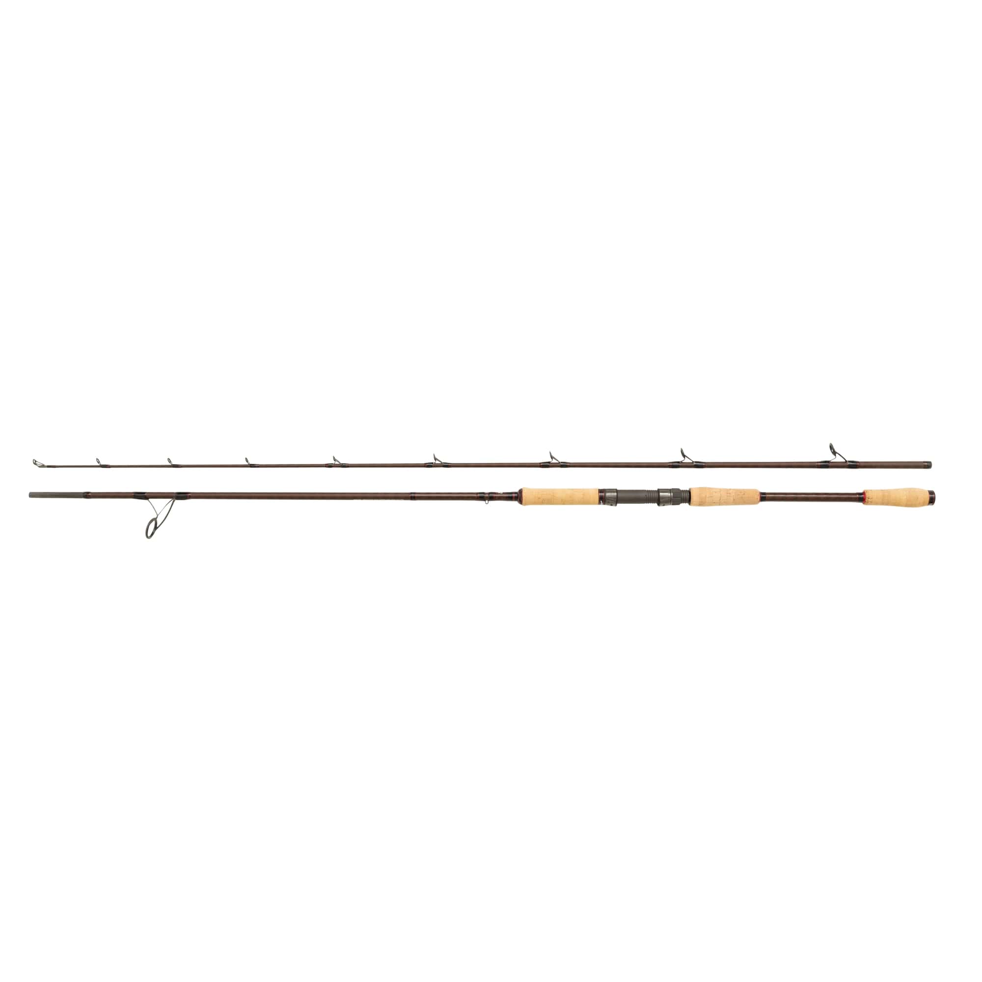 Abu Garcia Beast Pro Power Pike Spinhengel 2.59m (60-140g)