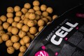 Mainline Shelf Life Cell Boilies (5kg)