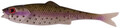 LMAB Finesse Filet 15cm, 3 stuks! - Rainbow Trout