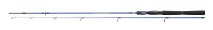 Daiwa Triforce Target Spoon Forel Spinhengel 2024