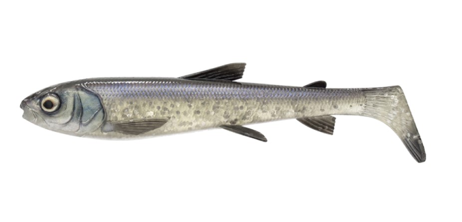 Savage Gear 3D Whitefish Shad 27cm (152g) Whitefish