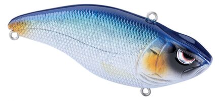 Spro Aruku Shad Blue Shiner 7,5cm (18g)