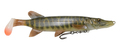 Savage Gear 4D Pike Shad - Striped Pike