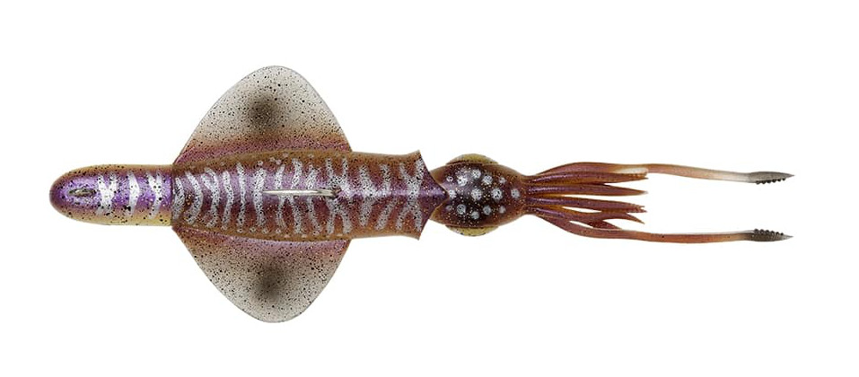 Savage Gear Swim Squid Rtf Zeevis Kunstaas Cuttlefish 18cm