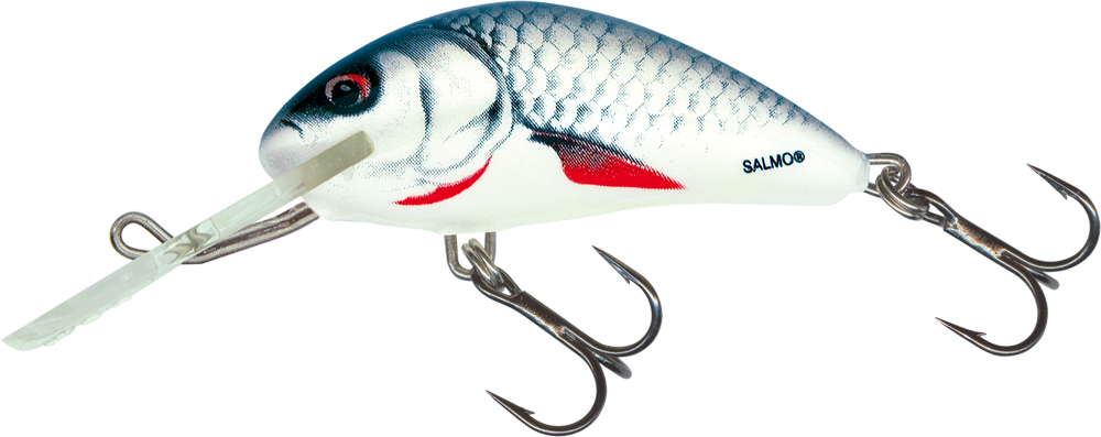 Salmo Hornet 5-6cm Sinking - Dace