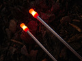 Holdcarp Brilliant LED SnagEars (keuze uit meerdere kleuren)