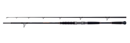 Shimano Beastmaster Catfish Meervalhengel Multi 2.3m (200g)