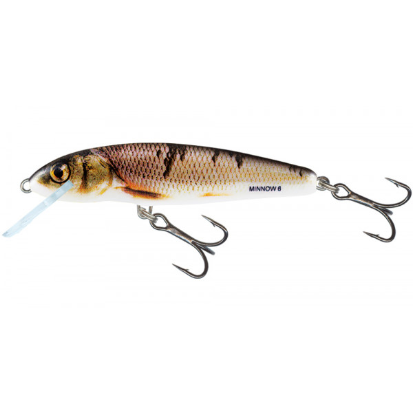 Salmo Minnow Floating