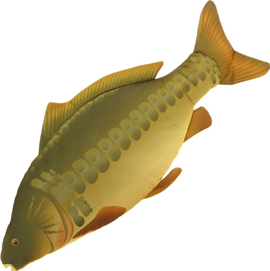 NGT Pillow Mirror Carp 70cm