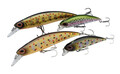 Berkley DEX Bullet Jerk Forel Kunstaas Giftbox (4pcs)