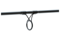 Daiwa Exceler Traditional Zeeforel Spinhengel 3.15m (15-40g)