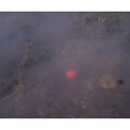 Dynamite Baits Hit N Run Pop Ups (15mm) - Rood