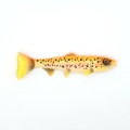 Hostagevalley Troubletail 26cm (195g) - Golden Trout