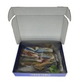 Relax/ShadXperts Kunstaas "Best Of" Box (45pcs)