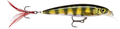 Rapala X-Rap 8cm - Live Perch