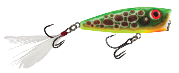 Salmo Fury Popper 7cm - Horny Toad